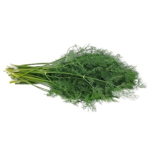 Dill