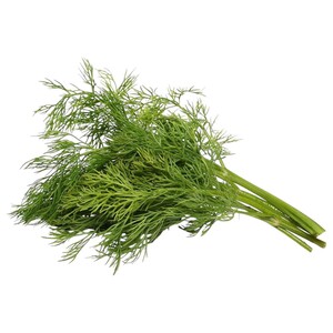 Dill Grade A Imported