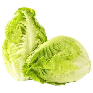 Lettuce Sucrine Baby Gem Grade A Imported