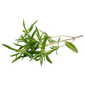 Thyme Green