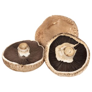 Mushroom Portobello