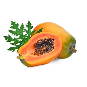 Papaya