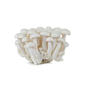 Mushroom Shimeji White Packet
