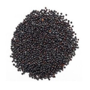 Agfm Mustard 200 Gr