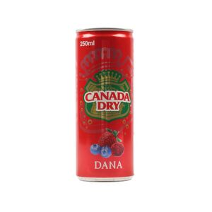 Canada Dry Carbonated Drink Dana Can 250 Ml