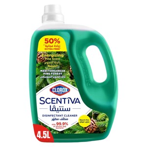 Clorox Scentiva Disinfectant Cleaner Pine Forest 4.5L