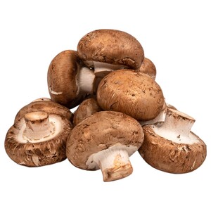Brown Mushroom