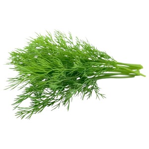 Dill