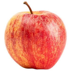 Gala Apple