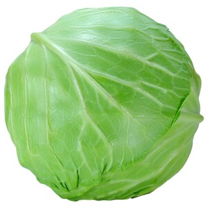 Cabbage