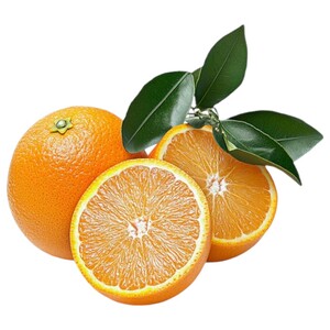 Orange Squeeze