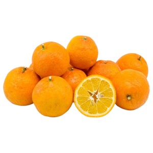 Orange Zokkra