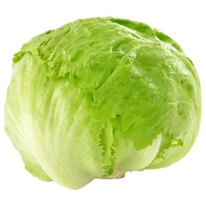 Fresh Iceberg