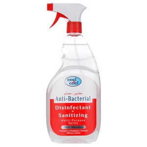 Cool & Cool Disinfectant Spray Multipurpose 750Ml