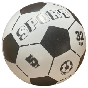Ball Sport Assorted