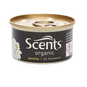 Auto Expression Air Freshner Organic Assorted
