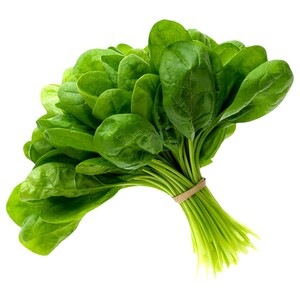 Spinach Jordan