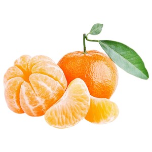 Mandarin Outspan Nova South Africa