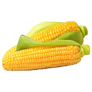 Sweet Corn Uae