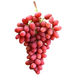 Grapes Red Lebanon