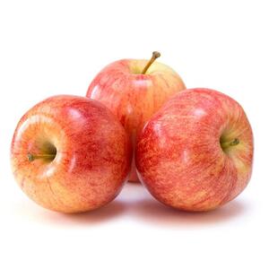 Apple Royal Gala Spain Kg