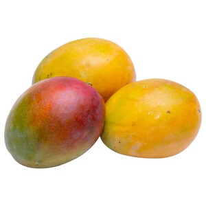 Mango Kent Yemen