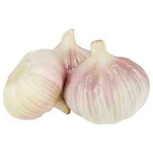 Garlic India