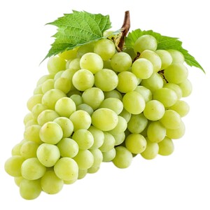 Grapes White Egypt