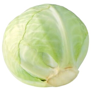 Cabbage White Clean Uae