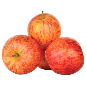 Apple Royal Gala Italy