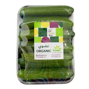Cucumber Organic 500Gm