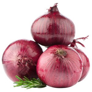 Onion Red India