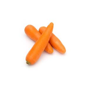 Carrot Loose - China