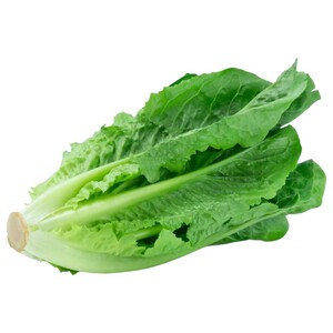 Lettuce Clean Jordan