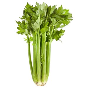 Celery