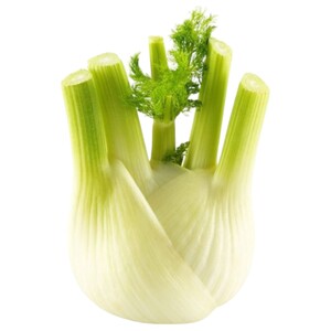 Fennel Italy