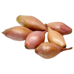 Onion Shallot