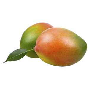 Mango Keitt Egypt