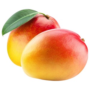 Mango Kent Egypt