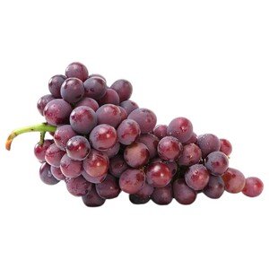 Grape Red Globe