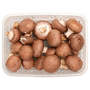 Mushroom Brown 250G