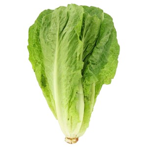Lettuce Clean Iran