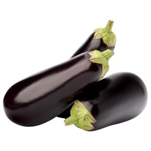 Eggplant Holland