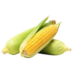 Sweet Corn Uae