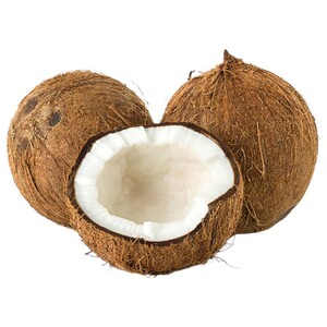 Coconut