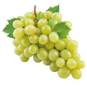 Grape White Iran