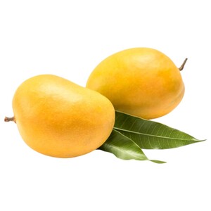 Mango Alphonso India