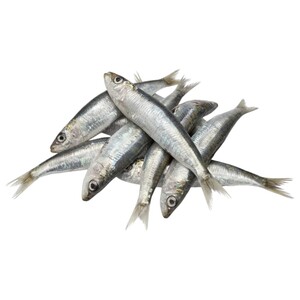 Sardines (C)