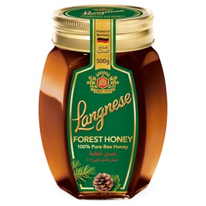 Langnese Forest Honey 500G