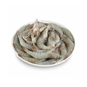 Fresh Shrimps 20/30